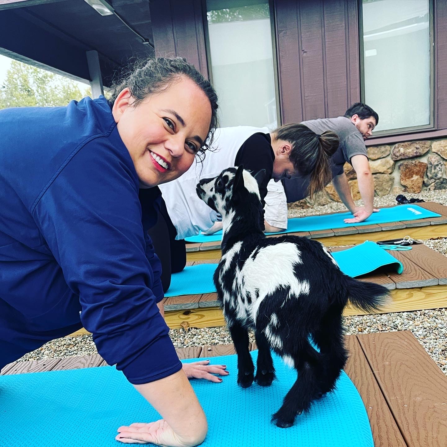 members of Kiwi Creative's team participating in goat yoga